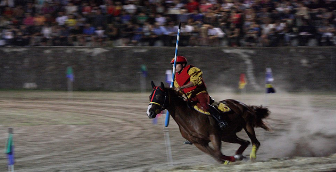 palio dei colombi - knight on horseback